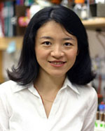 Jade  Wang, Ph.D.