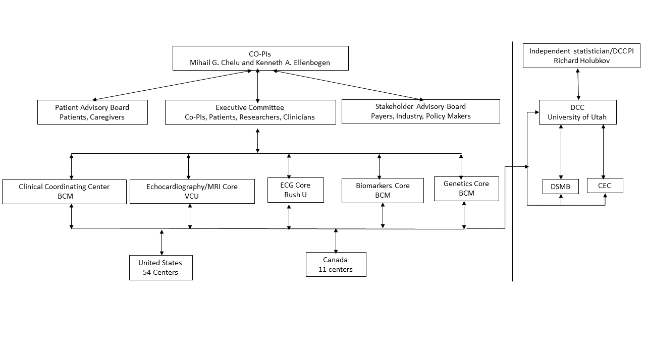 Organizational Structure